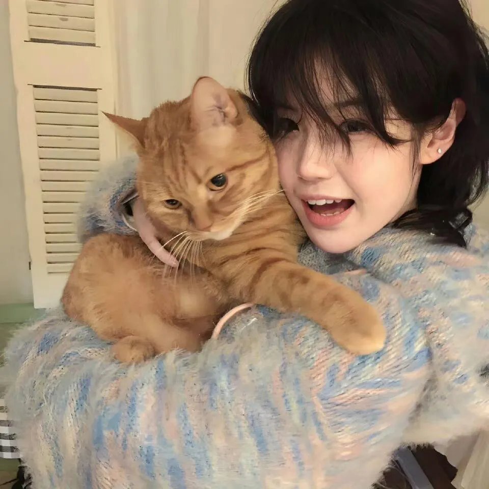 少年泰坦出击第八季